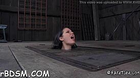 Free Sadomasochism Porn Videos