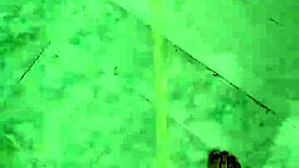 pissing in the shower with neighbors 😏