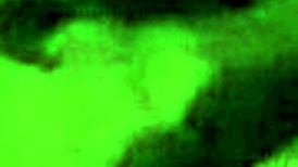 Crazy brunette pornstar hardcore big cock amateurs big tits monster cock boobs cock was made for me to meter