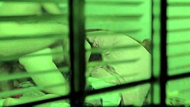 Girlfriend's big cock affair spied across window