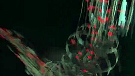 Helena Danae And Her Friend Engage In Passionate Lesbian Pussy Play. On MundoXXX.com