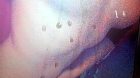 Tribute For Lovekisse