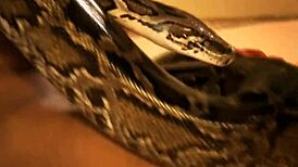 Feel The Exotic Passion Of Oriental Lover