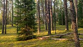 my wild 18+ summer anal adventure at the lake was insane 😜