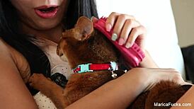 Marica Hase's Intense Passion With Black Cock