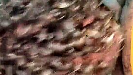 Fat Latin Cock Swallows Cum