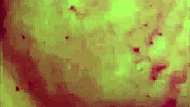 She Begged Me To Bang Her