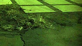 yo, check this extreme bdsm teen 18+ compilation now