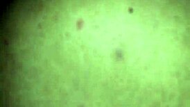 Wow, Sexy Wife With Big Ass Fucking Hard!