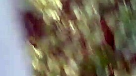 Super bold outdoor queen Mei Na picks up guy on park bench for blowjob, then standing fuck in woods with creampie 😏