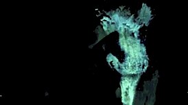 Wow, Dark Lantern Entertainment Presents Beauty and the Beast in Retro Glory!