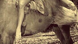 Wow, Dark Lantern Entertainment Presents Beauty and the Beast in Retro Glory!