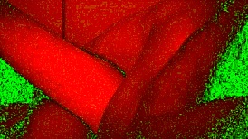 bad light pervert fuck?