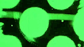 Detailed vintage erotic drawings