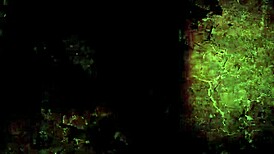 Vintage Illustration Collection