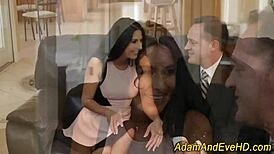 Classy brunette babe deepthroats huge cock