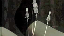 Dark Lantern's Vintage Interracial Confessions: Erotic Fucking from a Victorian Gentleman's Secret Life!