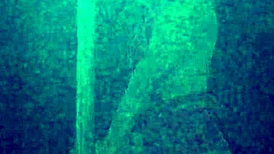 my cousin came over to the living room