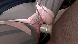 japanese anime girl sucks big cock through gloryhole in 3d hentai