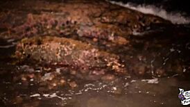 Novinha masturbates on the beach with big ass squirting