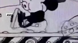 gender rainbow direct