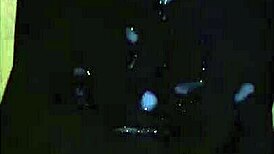 Real party hole girl multiple creampies