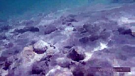 Public Exhibitionist German Teen Veronikavonk Flashes Big Boobs On Sea