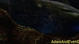 Stockings Hottie Enjoying Sucking with Handjob Assistance