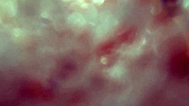 Visiting A Motel For The First Time With The Favorite Of The Home 😍