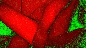 情侣粗暴深喉面部口交狂干