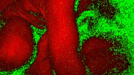 情侣粗暴深喉面部口交狂干