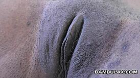 interracial amateur ebony teen gets creampied by white guy