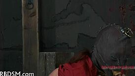 Femdom porn with drawings of hot BDSM scenes
