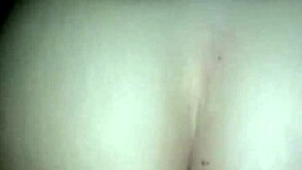 molhando o pau todinho e gemendo gostoso, essa latina fode gostoso