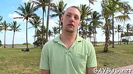 Passionate gay bear scenes filled with intense emotions