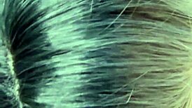 Lolas Favourite Oral Activity