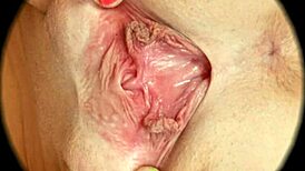 高清毛逼特寫Rumesco性愛紋理