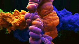 A prank youtuber made a video call to a brunette latina pornstar and ended up touching her pussy.