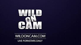 this blonde newbie is toying her pink pussy in a live show