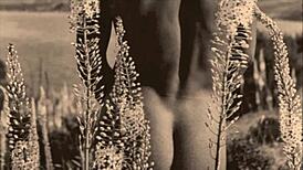 Vintage Victorian Homosexuals in Erotic Retro Scene