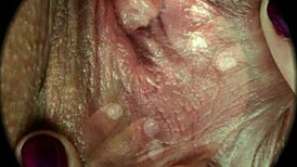 高清毛逼特寫Rumesco性愛紋理