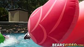 Big hairy bears have rough gay sex with no condoms