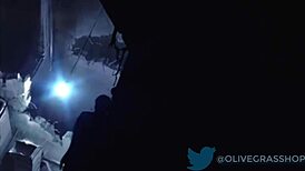 Riley Reid Cartoon Animation in Wild Hentai Style