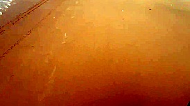 Fui Pra Praia De Nudismo Na Bahia Pra Levar Rola Dos Pirocudos