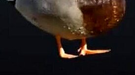 young blonde slut penetrated by huge cock in every way - ai content