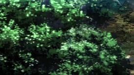 otogibanashi no onigokko pianotaku fansub latino - chapter 1