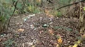 Gay teen finds water in the woods and gets milked