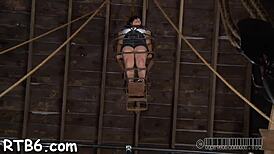 Lovely babe out of cage for femdom bondage torment 😈