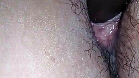 Jessy Mi's Favorite Companion Relaxing