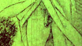 vintage erotic drawings that tease with every stroke of the pen